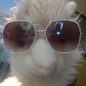 White Oversized Sunglasses